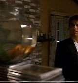 jerry-maguire-254.jpg